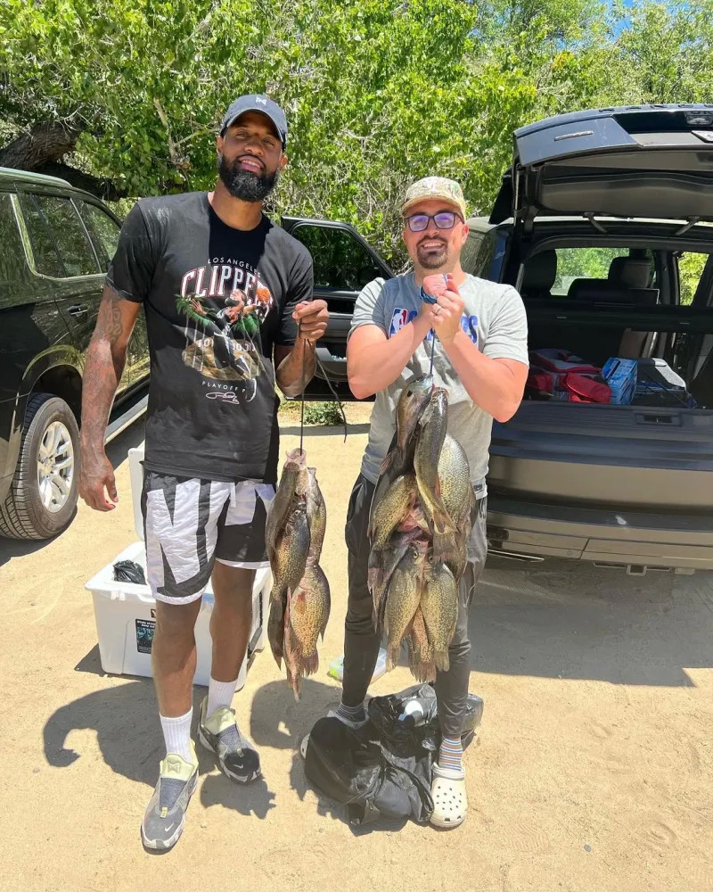 路灯杆上尚 路灯杆上尚